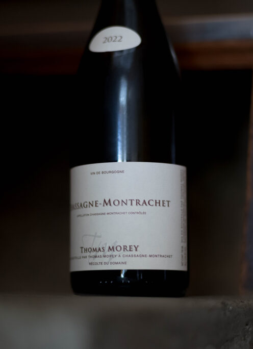 DOMAINE THOMAS MOREY（ドメーヌ  トマ・モレ）CHASSAGNE-MONTRACHET（シャサーニュ・モンラッシェ）2022（2022 ヴィンテージ）